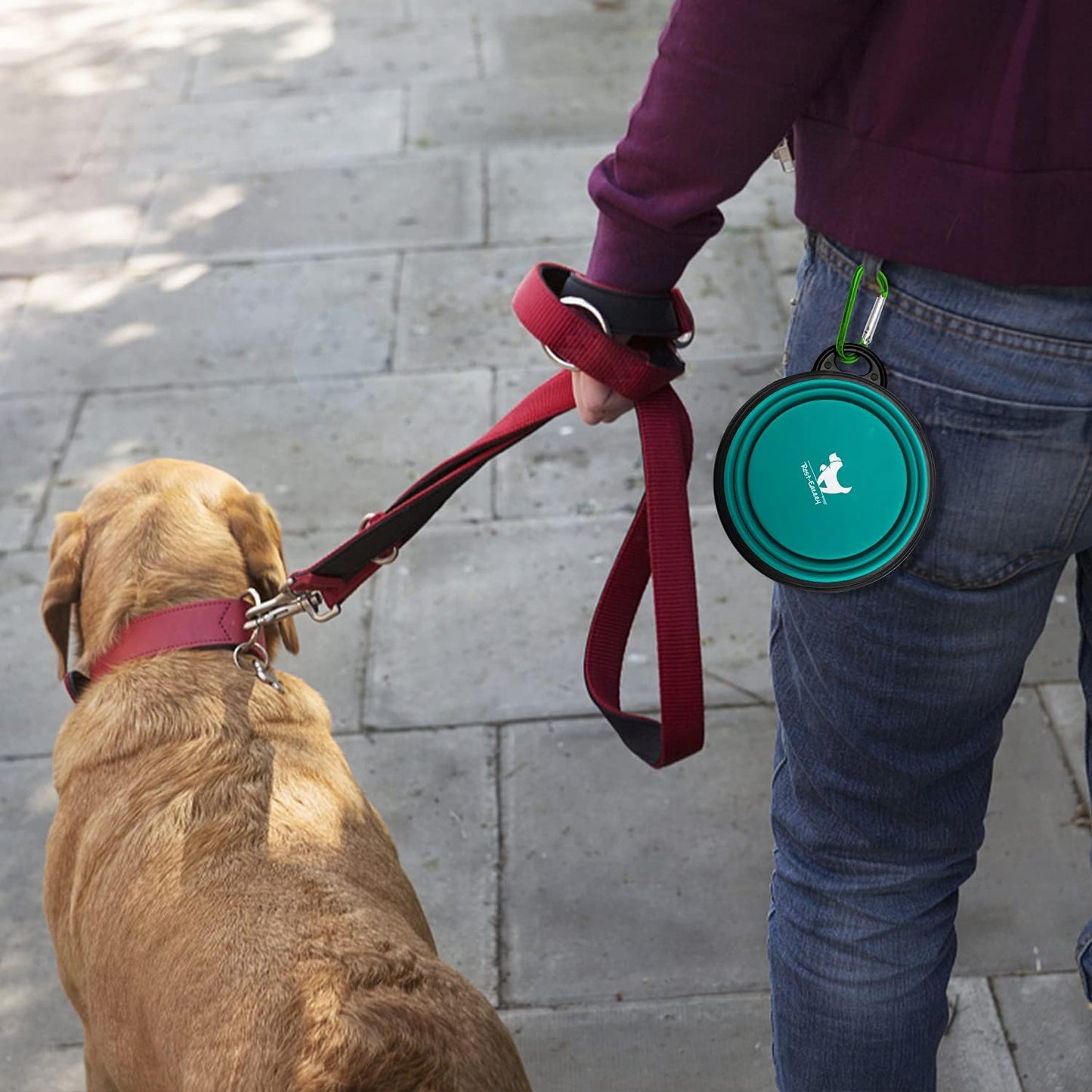 Collapsible Dog Bowls for Travel, 2-Pack Dog Portable Water Bowl for Dogs Cats Pet Foldable Feeding Watering Dish for Traveling Camping Walking with 2 Carabiners, BPA Free