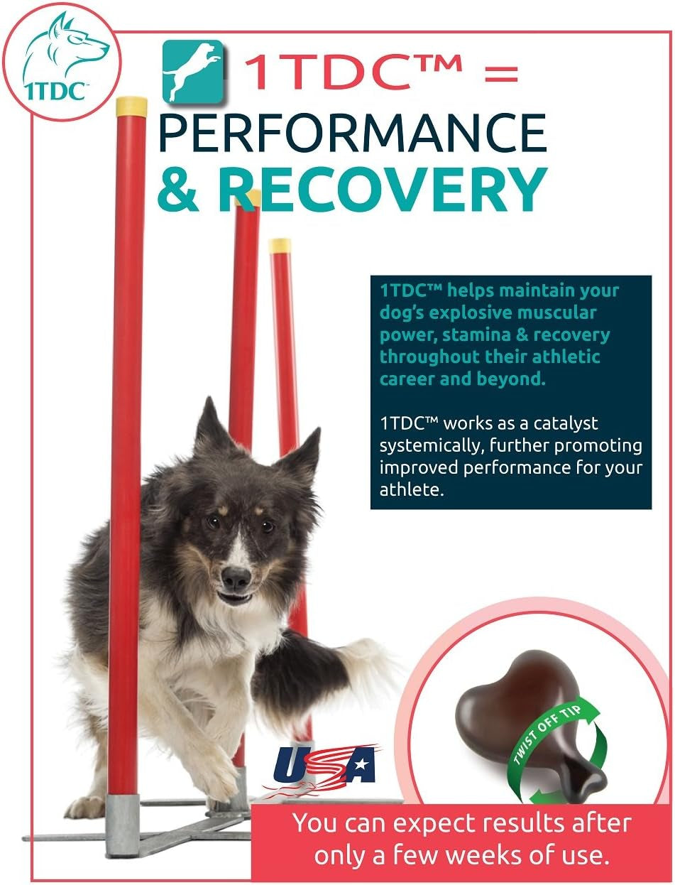 Dual Action Natural Support - 60 Twist off Soft Gels | Delivers 4 Health Benefits for Dogs & Cats | Supports Oral, Hip, Joint, Skin, Coat Health, Muscle & Stamina Recovery (120)