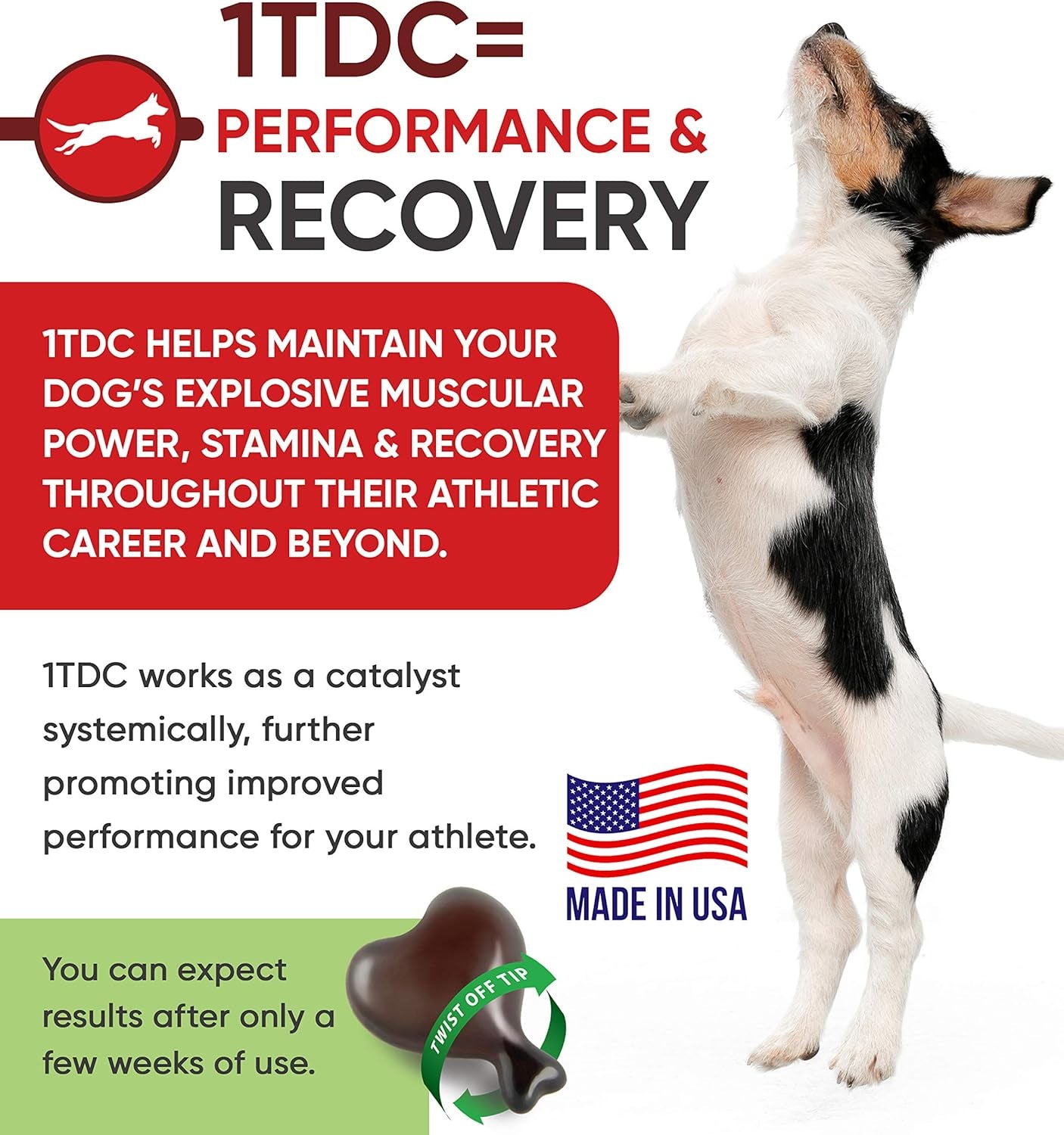 1TDC Dual Action Natural Support – Twist off 120 Count Soft Gels for Dogs & Cats (4- in - 1 Wellness Solution) Supports Oral Health, Hip & Joint Health, Muscle & Stamina Recovery, Skin & Coat Health